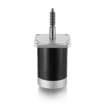 Verstellbarer Drehzahl- und Rückwärtsmotor 24 V 100 W Brushed DC-Motor für schwarze Industrieanlagen
