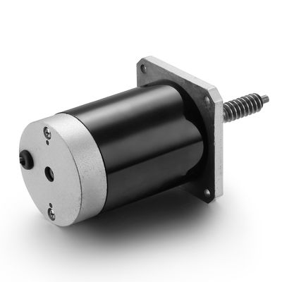 Verstellbarer Drehzahl- und Rückwärtsmotor 24 V 100 W Brushed DC-Motor für schwarze Industrieanlagen
