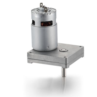 Silberner 42mm Hochdrehmoment Quadrat Spur Getriebe Gleichstrommotor 12V 24V 21,1W Bürsten Gleichstromgetriebe