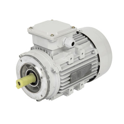 High Torque Asynchrone Induktion Dreiphasige Einphasige Explosionssichere Gleichstrommotor