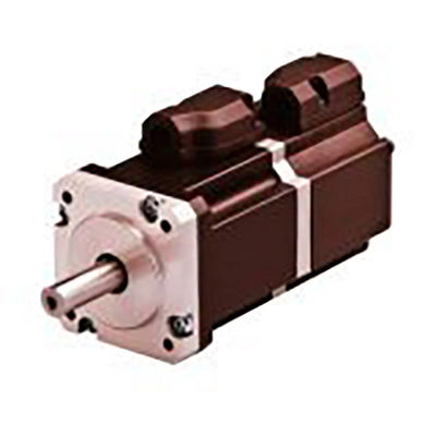 Heimgerät 90/110VDC Leistung 2.5HP Laufbandmotor aus Nepal DC Elektromotor
