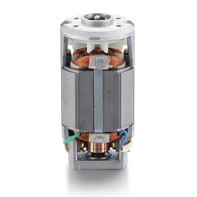 40w Nennleistung Wechselstrom-Synchronuniversalmotor für 110v 220v Einphasen-Elektromotor