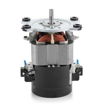 IE 1 Wirkungsgrad 110V 220V Wechselstrom-Laufbandmotor 50/60Hz Einphasen-Wechselstrommotor