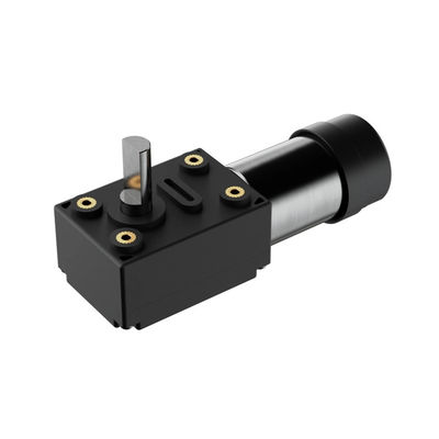 Elektrischer DC-Motor 1KG Gartenwerkzeuge mit 12V Plastikhülle DC Wurmgetriebe BLDC-Motor