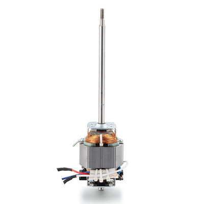 Hochdrehmoment 110v 220v 100w 200w 300w Wechselstrommotor für Laufbandmaschine 10000rpm