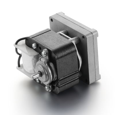 Hochgeschwindigkeit 240V 10W/30W Schattenpollaufband Wechselstrommotor 3000rpm 50Hz/60Hz Geräuscharm