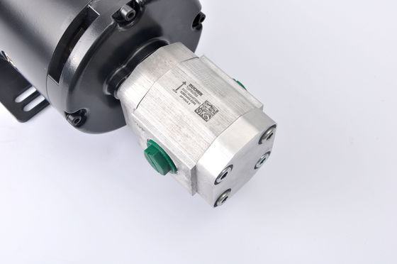 Gartenwerkzeuge 24V 4KW Hochdrehmoment Gleichspannungsmotor ZD2973H mit Getriebepumpe