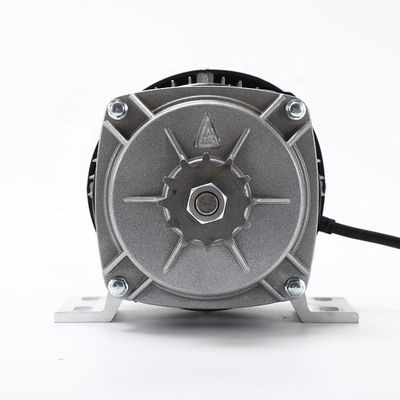 24V 500W Permanenter Magnetmotor für motorisierte Dreiräder Roller Rollstuhl 10mm Welle