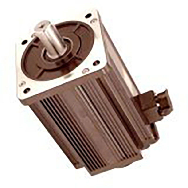 Heimgerät 90/110VDC Leistung 2.5HP Laufbandmotor aus Nepal DC Elektromotor