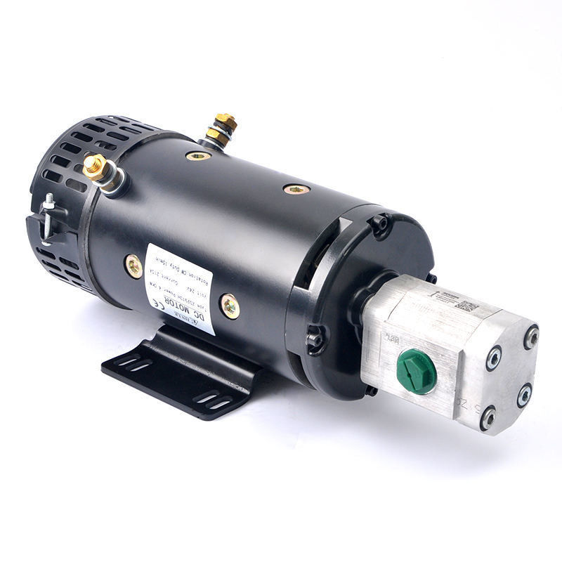 Gartenwerkzeuge 24V 4KW Hochdrehmoment Gleichspannungsmotor ZD2973H mit Getriebepumpe